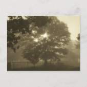 Morning Mist Briefkaart (Voorkant)