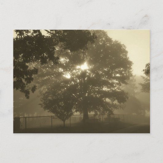 Morning Mist Briefkaart (Voorkant)