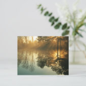 Morning Mist Briefkaart (Staand voorkant)