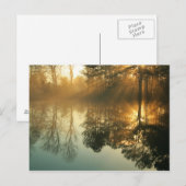 Morning Mist Briefkaart (Voorkant / Achterkant)