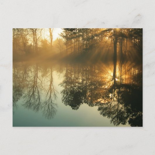 Morning Mist Briefkaart (Voorkant)