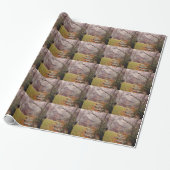 Morning Mist Cadeaupapier (Uitgerold)