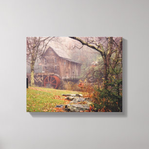 Morning Mist Canvas Afdruk