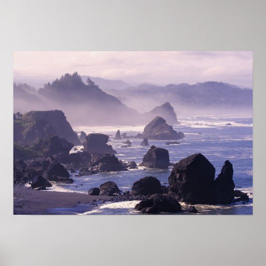Morning mist langs de kust van Oregon bij Nesika, Poster (Voorkant)
