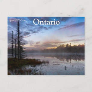 Morning Mist op Beaver Pond in Northern Ontario Briefkaart