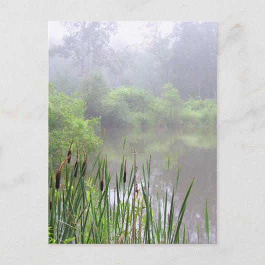 Morning Mist op Pond Briefkaart (Voorkant)