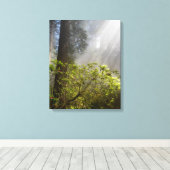 Morning Mist op Rhododendron Canvas Afdruk (Insitu (Houten vloer))