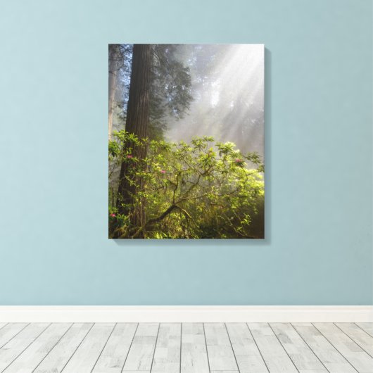 Morning Mist op Rhododendron Canvas Afdruk (Insitu (Houten vloer))