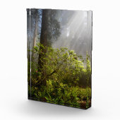 Morning Mist op Rhododendron Fotoblokken (Rechts)