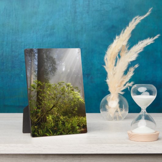 Morning Mist op Rhododendron Fotoplaat (Zijkant)