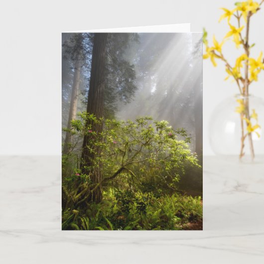 Morning Mist op Rhododendron Kaart (Gele Bloem)