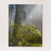 Morning Mist op Rhododendron Legpuzzel (Verticaal)