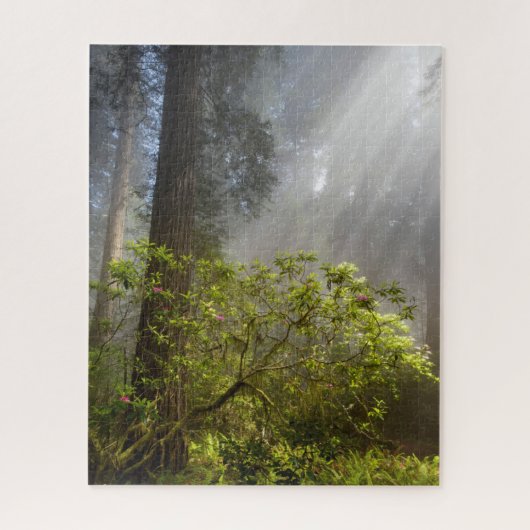 Morning Mist op Rhododendron Legpuzzel (Verticaal)