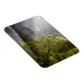 Morning Mist op Rhododendron Magneet (Rechterzijde)