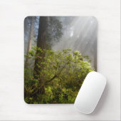 Morning Mist op Rhododendron Muismat (Met muis)