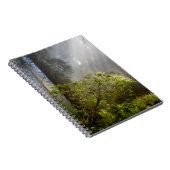 Morning Mist op Rhododendron Notitieboek (Rechterzijde)