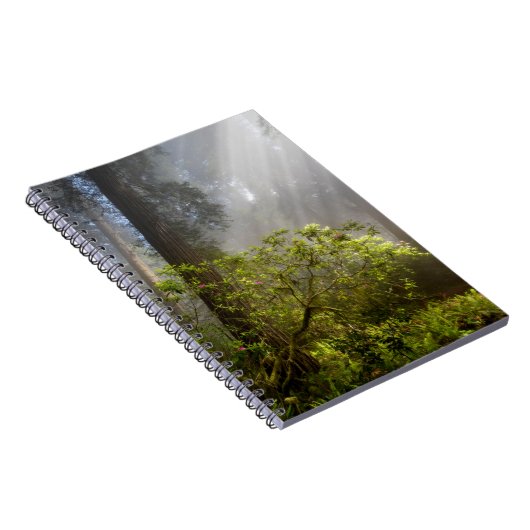 Morning Mist op Rhododendron Notitieboek (Rechterzijde)