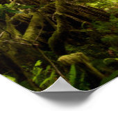 Morning Mist op Rhododendron Poster (Hoek)