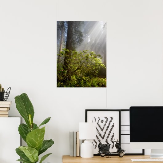 Morning Mist op Rhododendron Poster (Thuiskantoor)