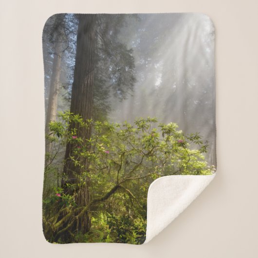 Morning Mist op Rhododendron Sherpa Deken (Voorkant)