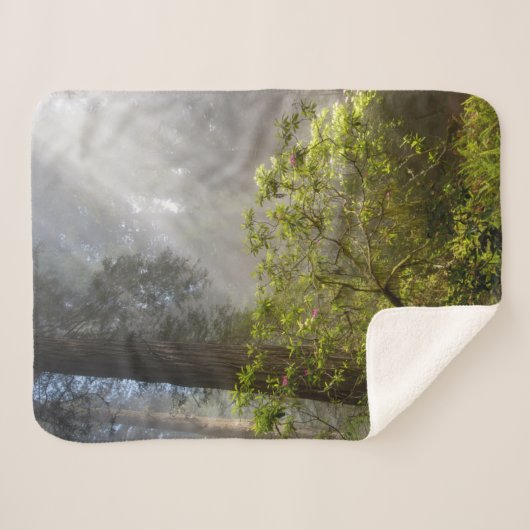 Morning Mist op Rhododendron Sherpa Deken (Voorkant (horizontaal))