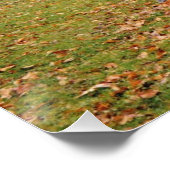 Morning Mist Perfect Poster (Hoek)