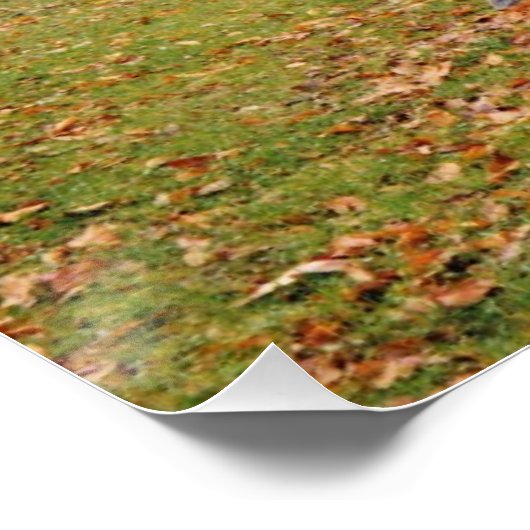 Morning Mist Perfect Poster (Hoek)