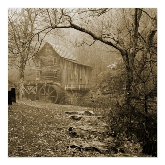 Morning Mist Poster (Voorkant)