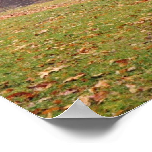 Morning Mist Poster (Hoek)