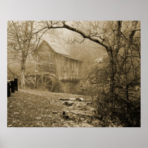 Morning Mist Poster