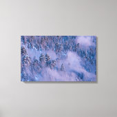 Morning Mist (Winter) Canvas Afdruk (Voorkant)