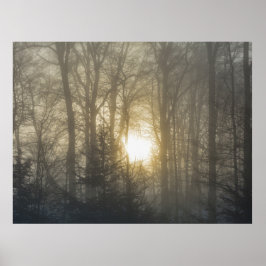 Morning Mood Poster