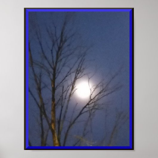 Morning Moonlight Poster (Voorkant)