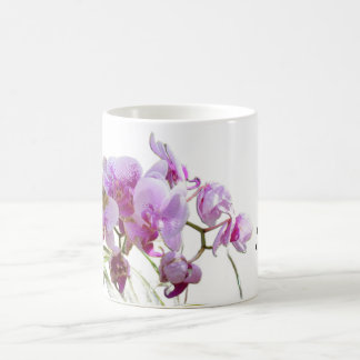 Morning Orchids-Mok Koffiemok