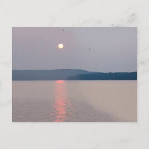 Morning Over Elk Lake, Michigan Briefkaart