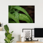 Morning Rain on Perfect Blades of Grass Photograph Poster (Thuiskantoor)