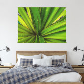 Morning Rain on the Screw Pine Canvas Afdruk (Insitu (Slaapkamer))