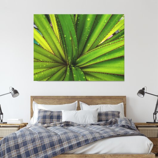Morning Rain on the Screw Pine Canvas Afdruk (Insitu (Slaapkamer))