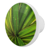 Morning Rain on the Screw Pine Keramische Knop (Rechts)