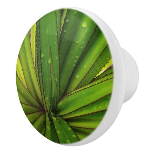 Morning Rain on the Screw Pine Keramische Knop (Rechts)