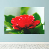 Morning red Rose bedekt met dauwdruppels Canvas Afdruk (Insitu (Houten vloer))