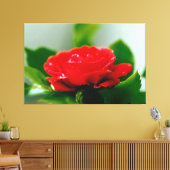 Morning red Rose bedekt met dauwdruppels Canvas Afdruk (Insitu (Woonkamer))