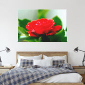 Morning red Rose bedekt met dauwdruppels Canvas Afdruk (Insitu (Slaapkamer))