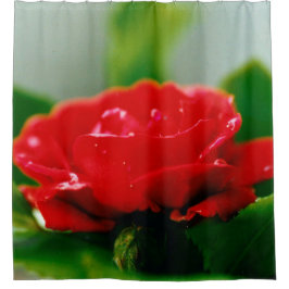 Morning red Rose bedekt met dauwdruppels Douchegordijn
