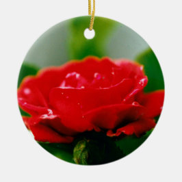 Morning Red Rose bedekt met dauwdruppels Keramisch Ornament