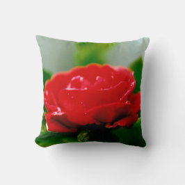 Morning red Rose bedekt met dauwdruppels Kussen