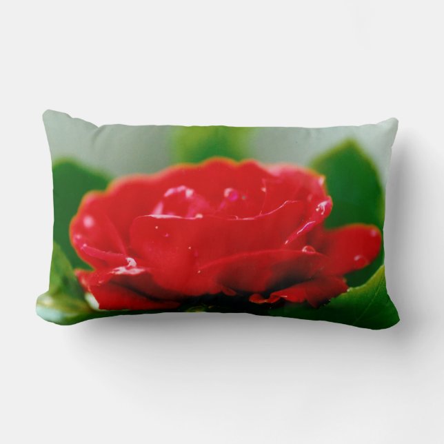 Morning red Rose bedekt met dauwdruppels Kussen (Voorkant)