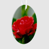 Morning Red Rose bedekt met dauwdruppels Ornament (voorkant)