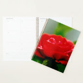Morning red Rose bedekt met dauwdruppels Planner (Display)