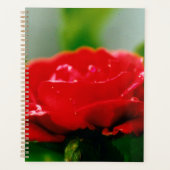 Morning red Rose bedekt met dauwdruppels Planner (Voorkant)